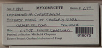 Image Associated With the Occurence